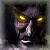 MarcusPew